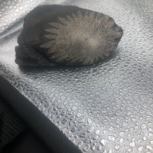 Pyrite Sun Crystal